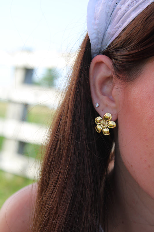 Boucles d'oreilles Pétale