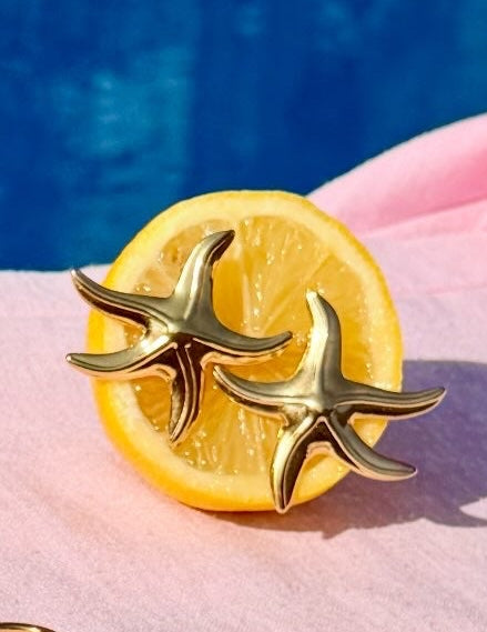 Boucles d'oreilles Stella