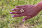 Bague Pétunia